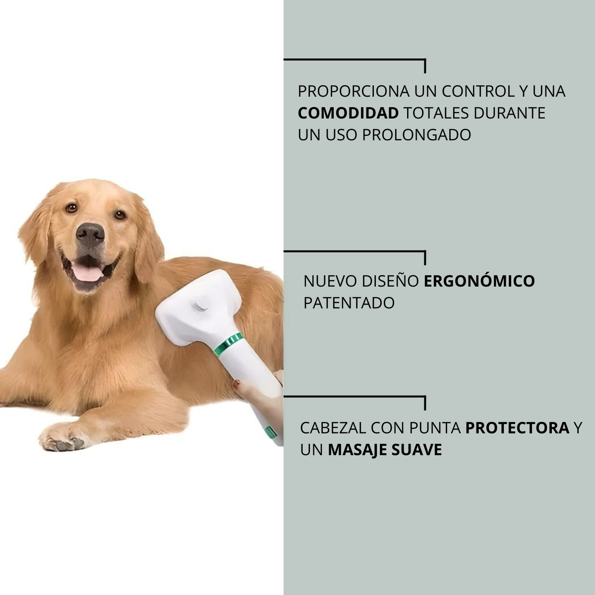 PEINE SECADOR ELÉTRICO PARA MASCOTAS (2 EN 1)