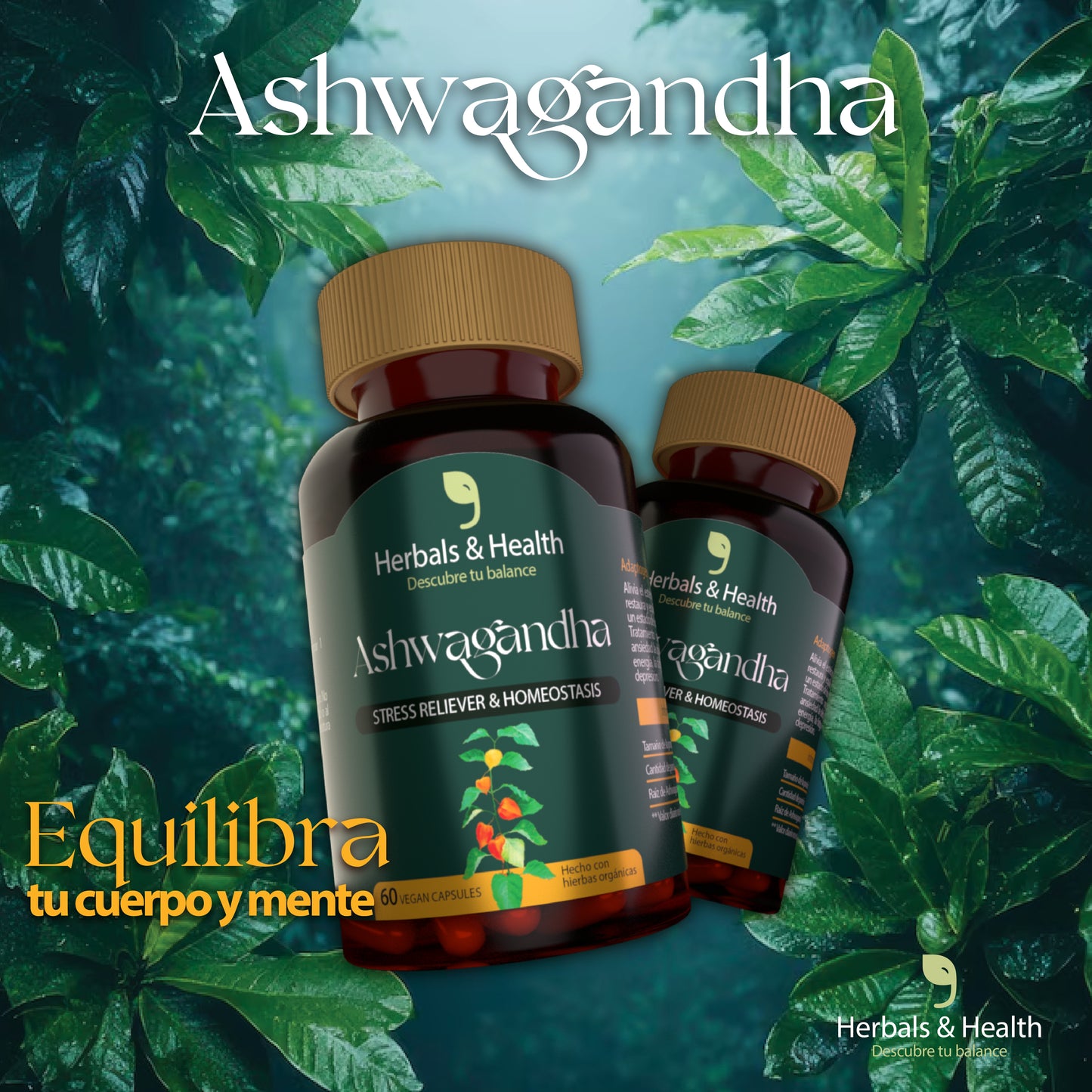 ASHWAGANDHA™ - Reduce el Estrés - Mejora el Sueño - Reduce el Cortisol
